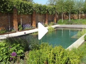 Press play to watch time lapse video of how the Pump House Courtyard garden was built