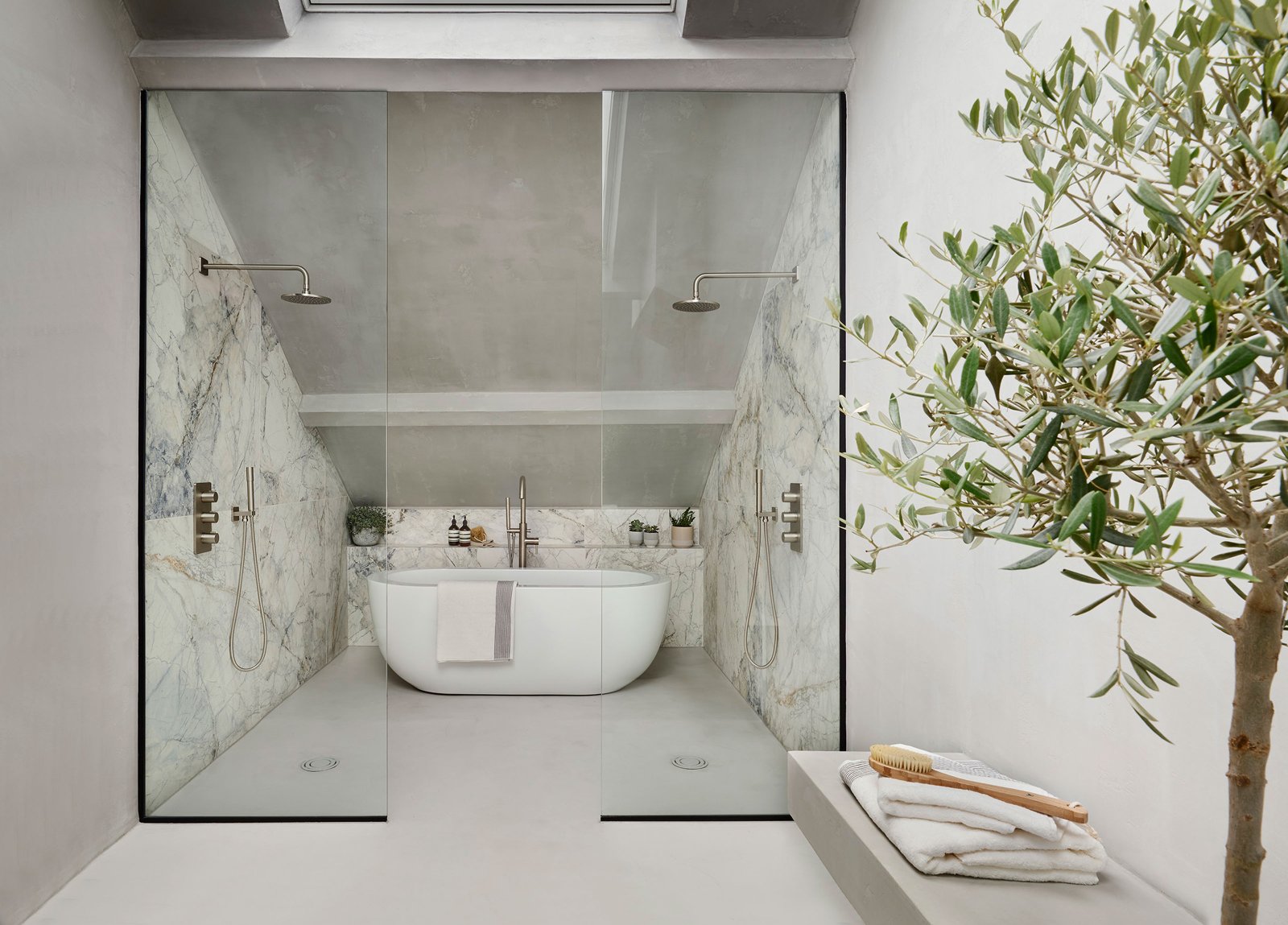 a microcement bathroom with an olive tree inside