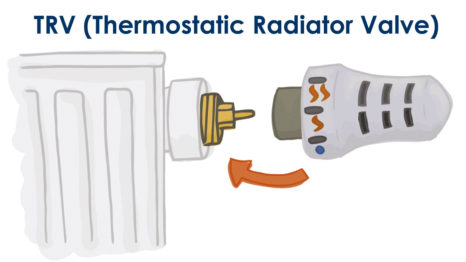 Illustration of TRV on white background